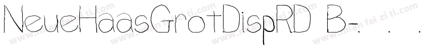 NeueHaasGrotDispRD B字体转换